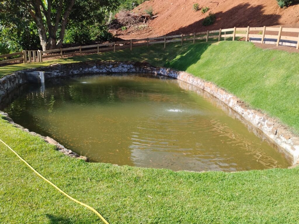 WhatsApp Image 2025-03-31 at 12.42.59 (3)