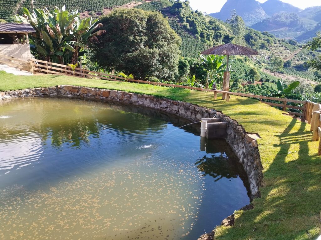 WhatsApp Image 2025-03-31 at 12.42.59 (5)